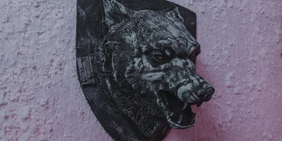 the castle of fire and ice